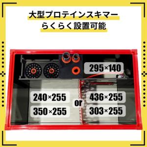 両面から鑑賞できる120cmオーバーフロー水槽...の詳細画像5