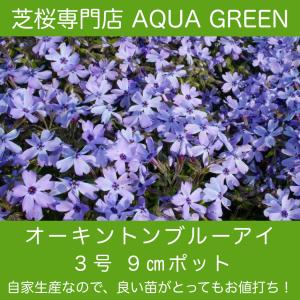 Aqua Green 芝桜 品種から選ぶ Yahoo ショッピング