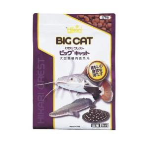 本物保証 ひかりクレスト 送料無料 エサ 熱帯魚 キョーリン 12個入り 1ケース 570g ビッグキャット 熱帯魚 アクアリウム用品 Basementsny Com