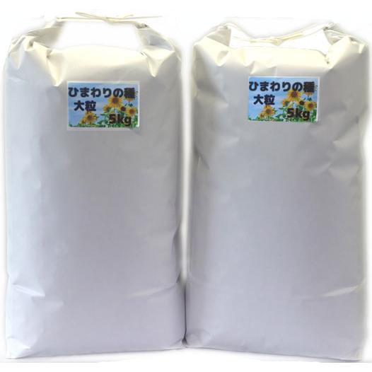 オリジナル ひまわりの種 (大粒)×２個セット