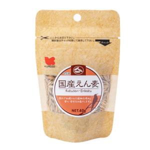 小鳥の餌 黒瀬ペットフード 国産えん麦 40g ...の商品画像