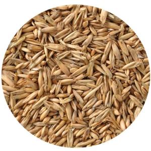 小鳥の餌 黒瀬ペットフード 国産えん麦 40g...の詳細画像1