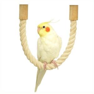とまり木 備長炭 止まり木 M (大) サイズ 約長さ20cm 径2cm （おまけ
