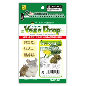 三晃商会 イージーホーム 40ハイ デグー飼育セットC スターターセット