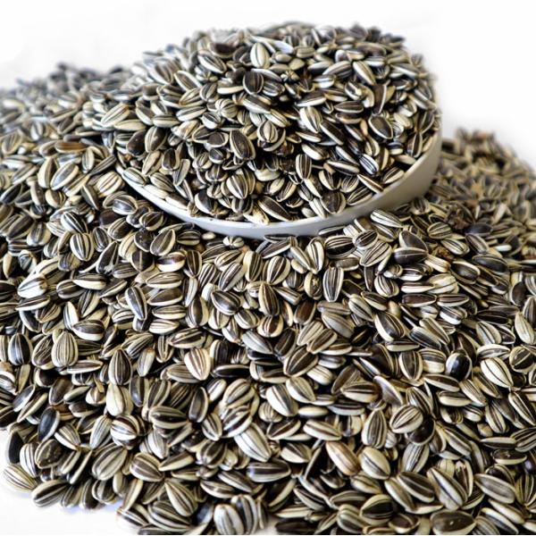 ハムスターおやつ　　オリジナル ひまわりの種 (小粒) 500g　　インコおやつ　オウムおやつ