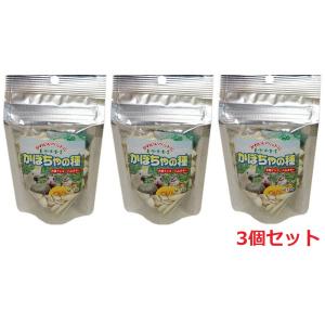 三晃商会 イージーホーム 40ハイ デグー飼育セットC スターターセット