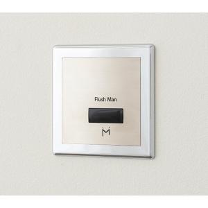 ミナミサワ フラッシュマン FM6IWA リカバリー1 AC100Vタイプ フラッシュマンリカバリー1 100Vタイプ ＜FM6IWA＞[ミナミサワ