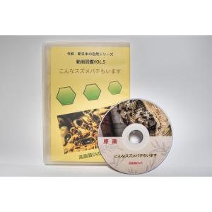 動画図鑑こんなスズメバチもいますDVD版
