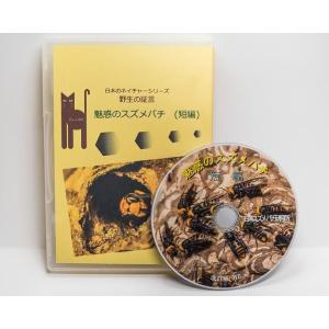 魅惑のスズメバチ再編　58分短編DVD