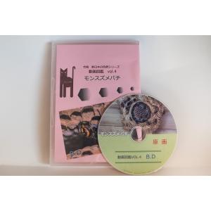 動画図鑑モンスズメバチ　ブルーレイ版