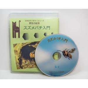 スズメバチ入門　６０分DVD版