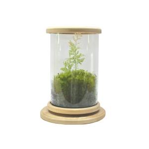 ベタ 水槽 おしゃれ 水槽 の商品一覧 熱帯魚 アクアリウム用品 ペット用品 生き物 通販 Yahoo ショッピング