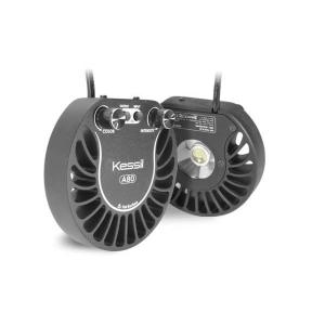 お取り寄せ)ZOOX Actinic Shiner 60 アクティニックシャイナー60
