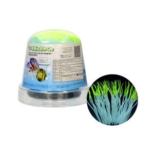 カミハタ 海道達磨プロテインスキマー : アクアテイラーズヤフー店