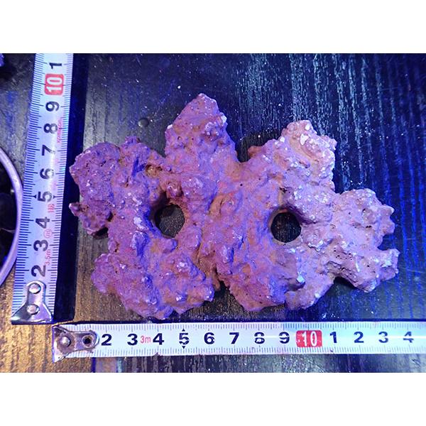 Frag専用プレート JS Frag Rock No.12