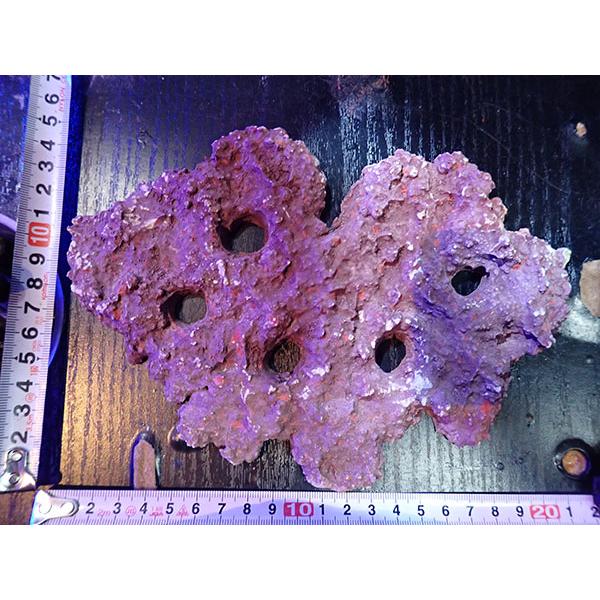 Frag専用プレート JS Frag Rock No.15