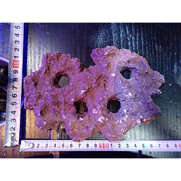 Frag専用プレート JS Frag Rock No.16