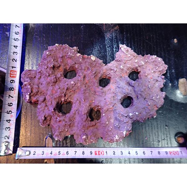 Frag専用プレート JS Frag Rock No.21