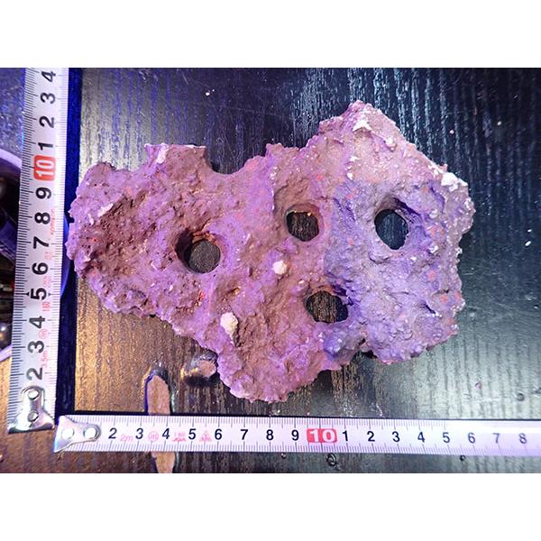 Frag専用プレート JS Frag Rock No.22