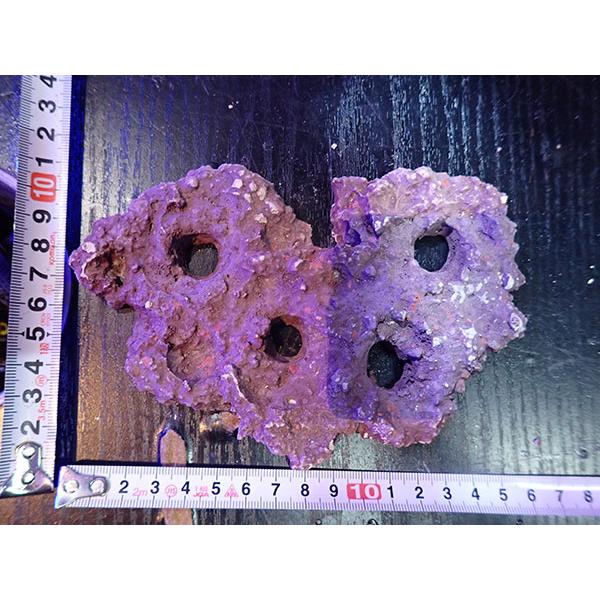 Frag専用プレート JS Frag Rock No.25