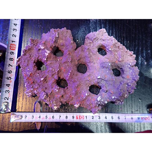 Frag専用プレート JS Frag Rock No.27