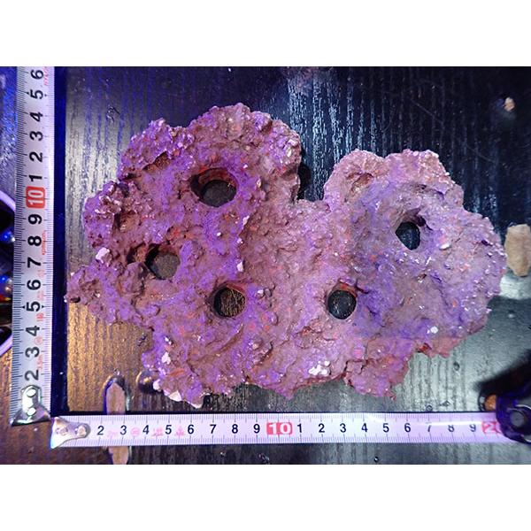 Frag専用プレート JS Frag Rock No.30