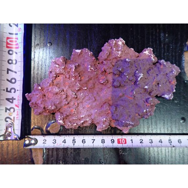 JS Rock Table Type No.43