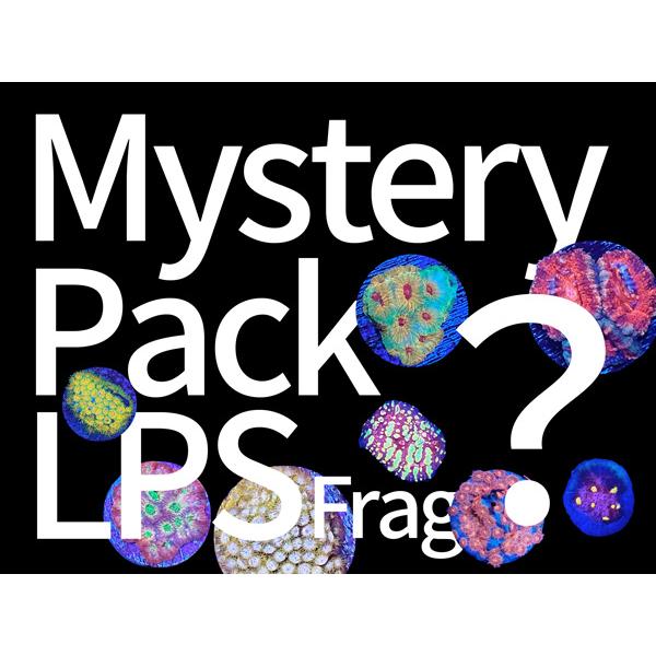 Mystery Pack LPSフラグ  5個セット