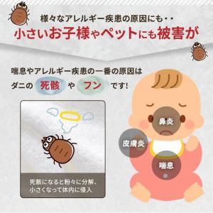 ダニ捕りシート ブラックホール (2個入り) ...の詳細画像2