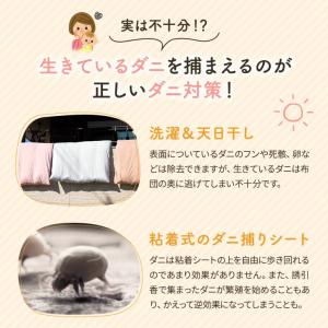 ダニ捕りシート ブラックホール (10個入り)...の詳細画像4