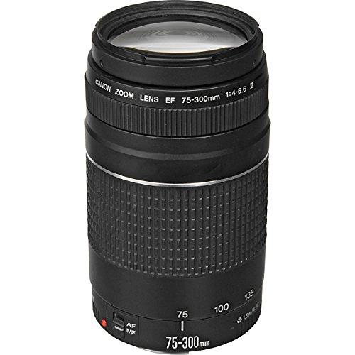 Canon EF 75   300 mm f / 4   5.6 III望遠ズームレンズfor Ca...