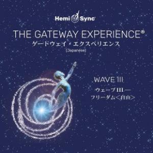 ヘミシンク日本語版 ゲートウェイ・エクスペリエンス ウェーブ1〜8 全8巻セット Wave I〜VIII 8巻セット〈ヘミシンク完全ガイドブック（全8冊合本版