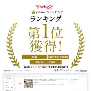 【正規品】電気毛布 掛け敷き兼用 フランネル ...の詳細画像1