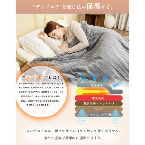【正規品】電気毛布 掛け敷き兼用 フランネル ...の詳細画像5