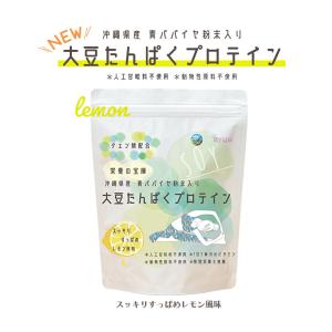 ソイプロテイン すっきりレモン風味 300g   沖縄県産青パパイヤ粉末配合 人工甘味料不使用 動物性原料不使用