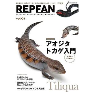REP FAN レプファン REP FAN rep fan　19冊セット REP FAN レプファン REP FAN rep fan 19冊セット REP FAN