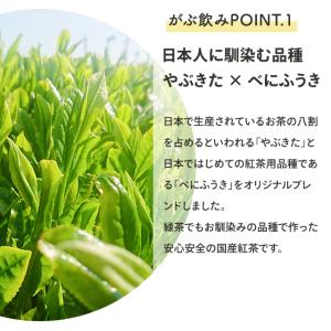 紅茶 お茶 ティーバッグ 和紅茶 国産 送料無...の詳細画像3