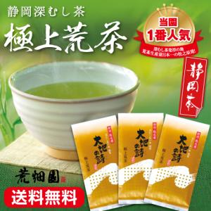 お茶 新茶 2024 緑茶 静岡茶 茶葉 深蒸し茶 カテキン 日本茶 極上荒茶100g 3袋 メール便 送料無料 5/2頃より出荷予定 ■15355｜arahata