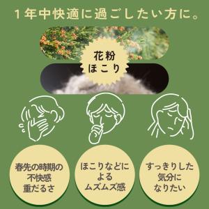 お茶 緑茶 粉末緑茶 べにふうき茶 花粉 健康...の詳細画像2