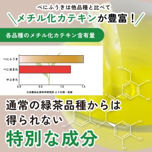お茶 緑茶 粉末緑茶 べにふうき茶 花粉 健康...の詳細画像4
