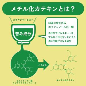お茶 緑茶 粉末緑茶 べにふうき茶 花粉 健康...の詳細画像5