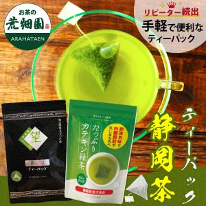 お茶 緑茶 ティーバッグ ティーパック 静岡茶 深蒸し茶 国産 日本茶 お得 望銀印ティーパック＆カテキン緑茶ティーパック ポイント利用 ポイント消化 爆買