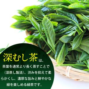 お茶 緑茶 ティーバッグ ティーパック 水出し...の詳細画像3