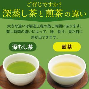 お茶 緑茶 ティーバッグ ティーパック 水出し...の詳細画像4