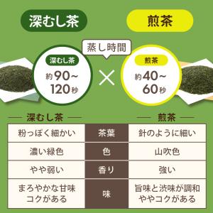 お茶 緑茶 ティーバッグ ティーパック 水出し...の詳細画像5