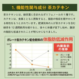 福袋 2026 食品 お茶 緑茶 国産プーアー...の詳細画像4