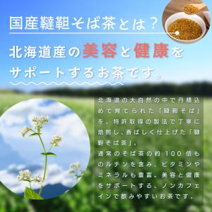 お茶 そば茶 韃靼 健康茶 ティーバッグ ティ...の詳細画像3