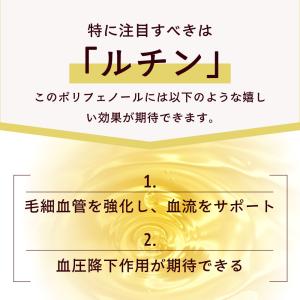 お茶 そば茶 韃靼 健康茶 ティーバッグ ティ...の詳細画像5