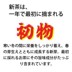 お茶 新茶 2026 緑茶 水出し緑茶 お茶の...の詳細画像2