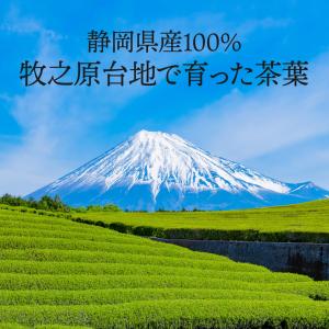 お茶 ほうじ茶 ティーバッグ 静岡茶 徳用 お...の詳細画像5